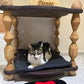 Personalized Wooden Cat Bed: Handcrafted Luxury Pet House
