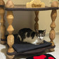 Personalized Wooden Cat Bed: Handcrafted Luxury Pet House