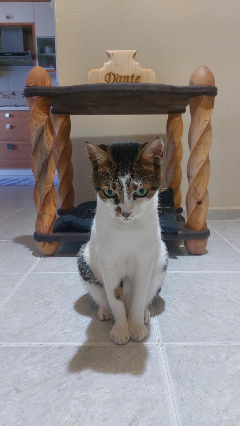 Custom Name Luxury Pet Furniture | Personalized Wooden Cat & Dog Home – Solid Wood Cat House