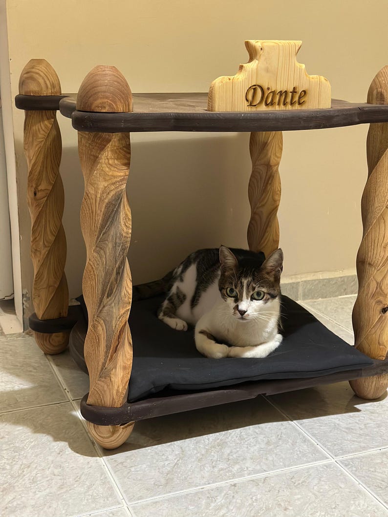 Custom Name Luxury Pet Furniture | Personalized Wooden Cat & Dog Home – Solid Wood Cat House